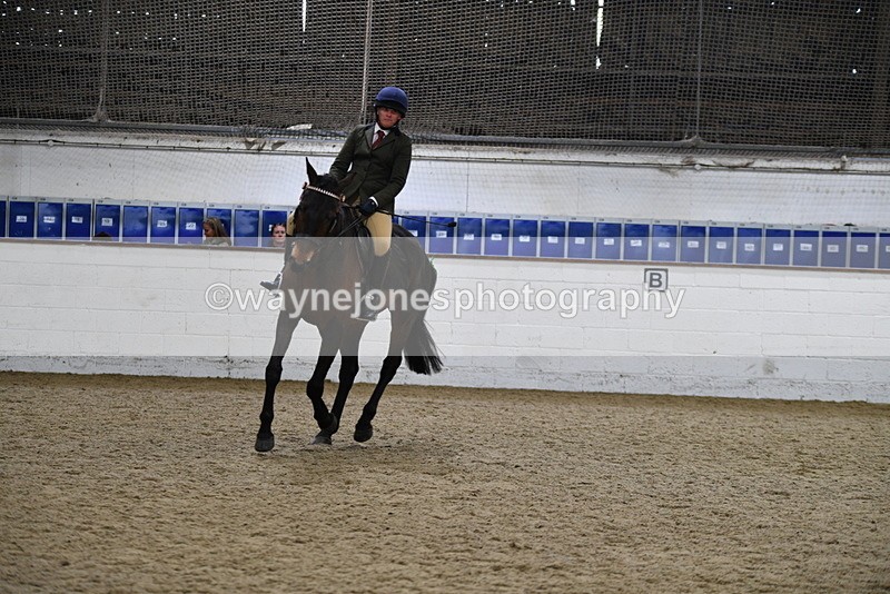WJ5_8023 - Class 13 Ridden Part Breed