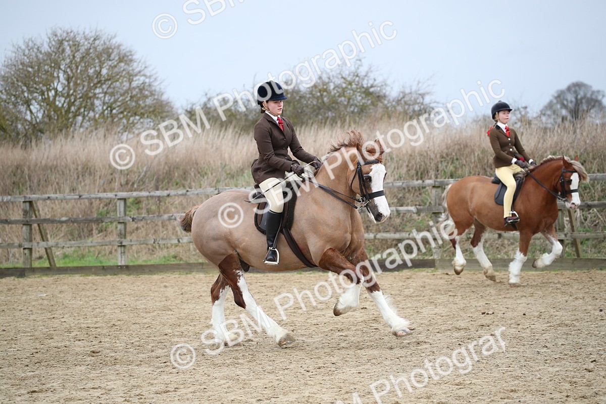 SBM_006122 - Class 10-13 - RIHS Small Large Breeds