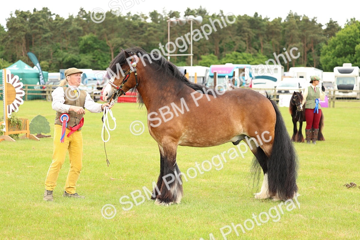 SBM_06321 - Class 39-41 TGCA In Hand and Ridden