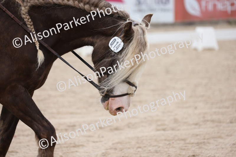 20250706-0155 - Class 13 - Prelim 5