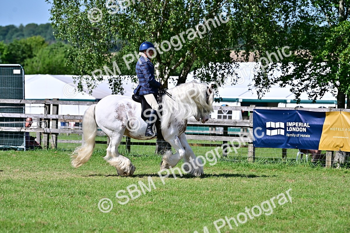 SBM_19361 - Class 101-102 - BSPS LIHS Performance Coloured Horse/Pony