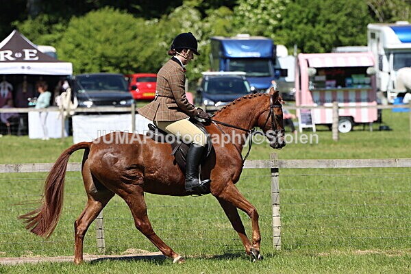 IMG_3936 - Working Hunter