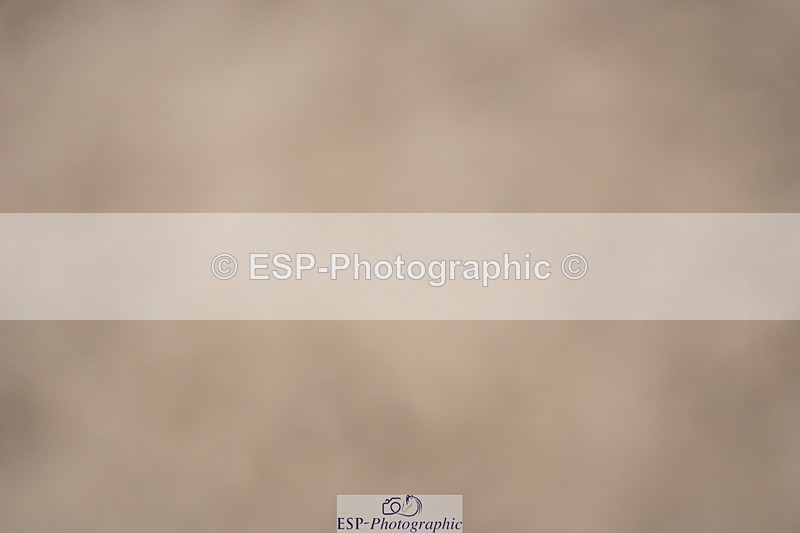 230924A-133102-06188 - 90 SJ Start to 14.00