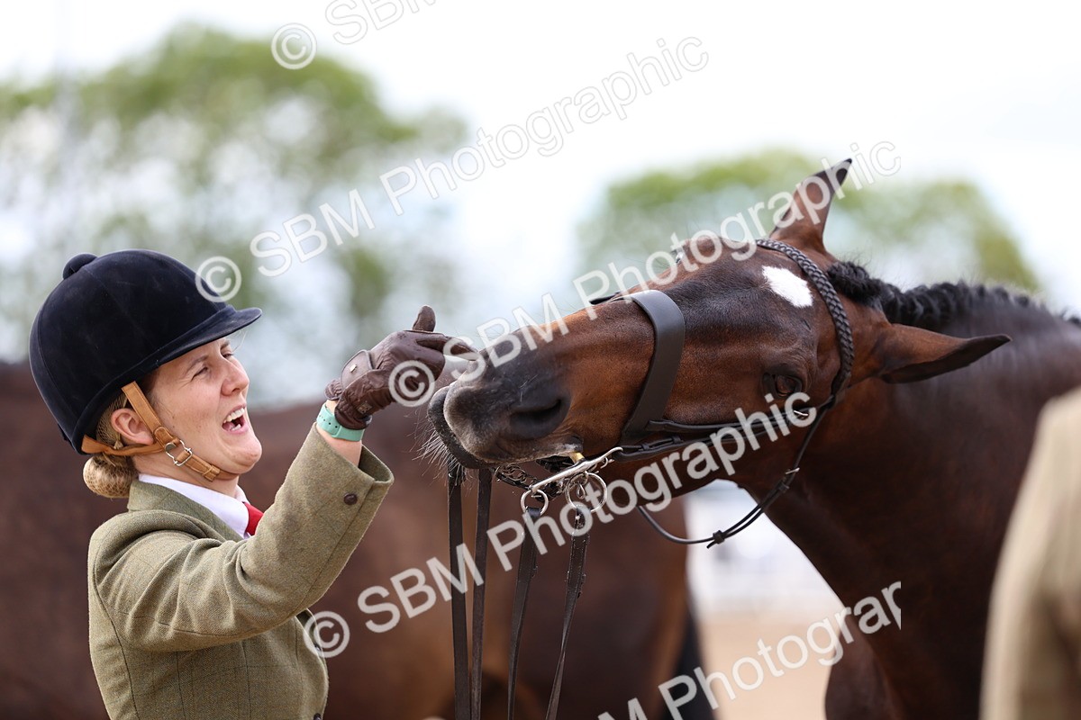 SBM_05774 - Class 28 - IH Veteran Horse