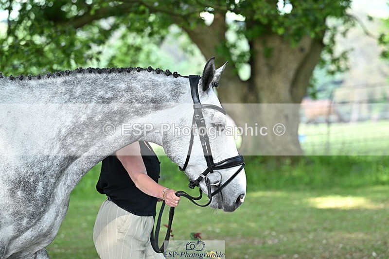 250521A-170111-01472 - C-278-Harriet.Wright-MBF.UP.NORTH