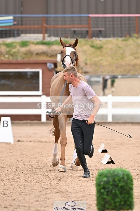 250716-161004-02480 - Trot Up 3.30 to 4.30