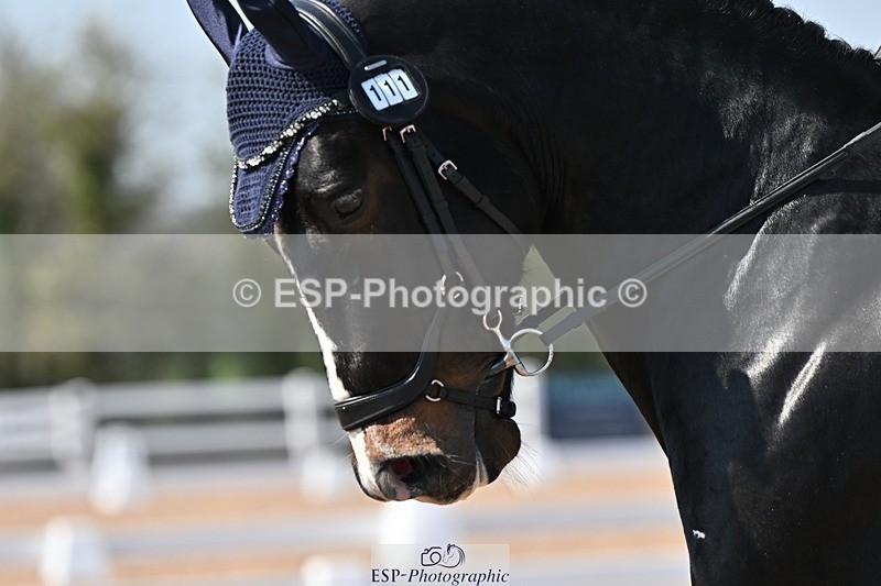 250404-133202-06401 - 111-Ever.Sinfield.Day-Machno.Excalibur