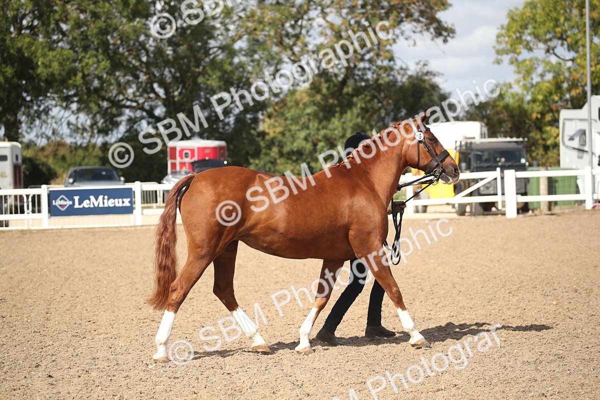 SBM_23409 - Class 604 - 2026 - Area IH Diamond