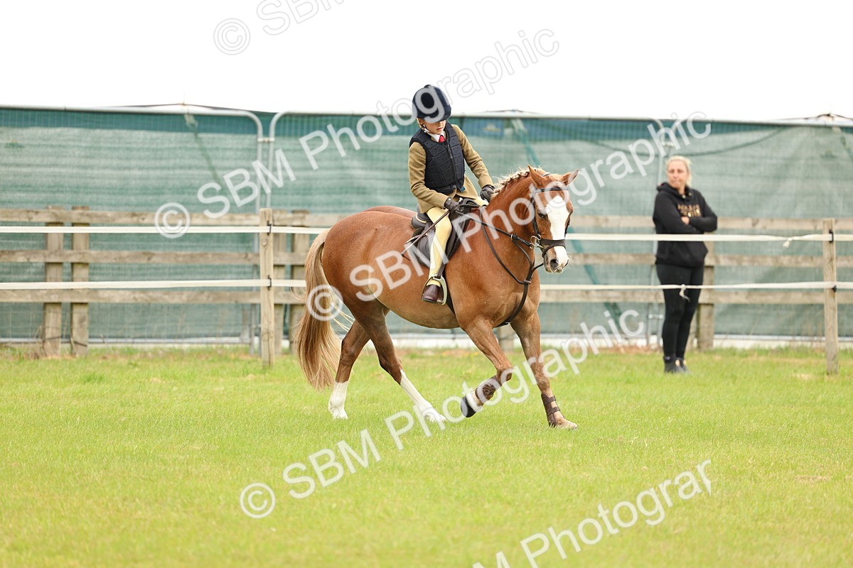 SBM_10244 - Class 44-45 - LIHS BSPS Open Nursery and Cradle Stakes