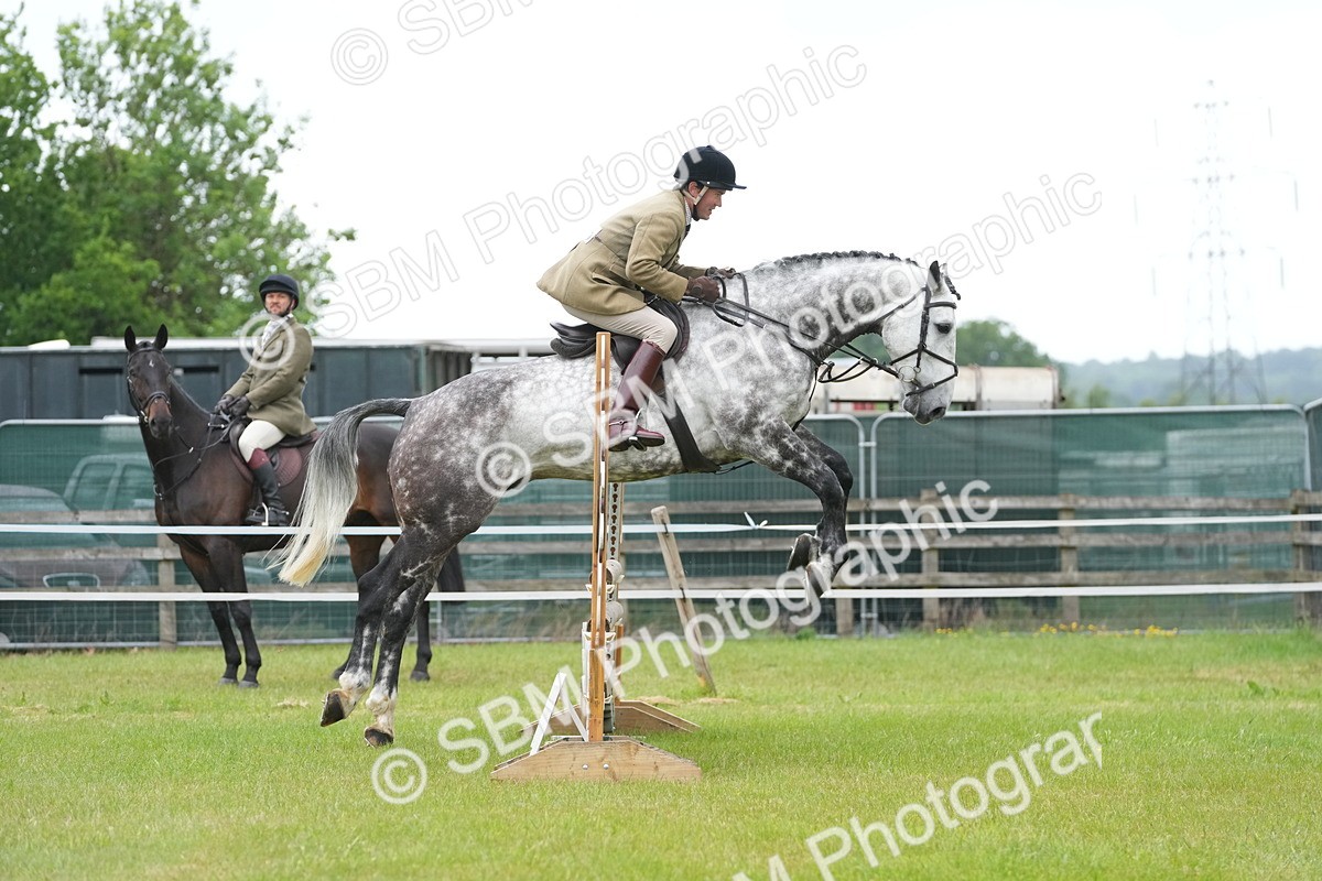 SBM_12614 - Class 97-98 - LIHS BSHA Rising Star Working Show Horse Hunter