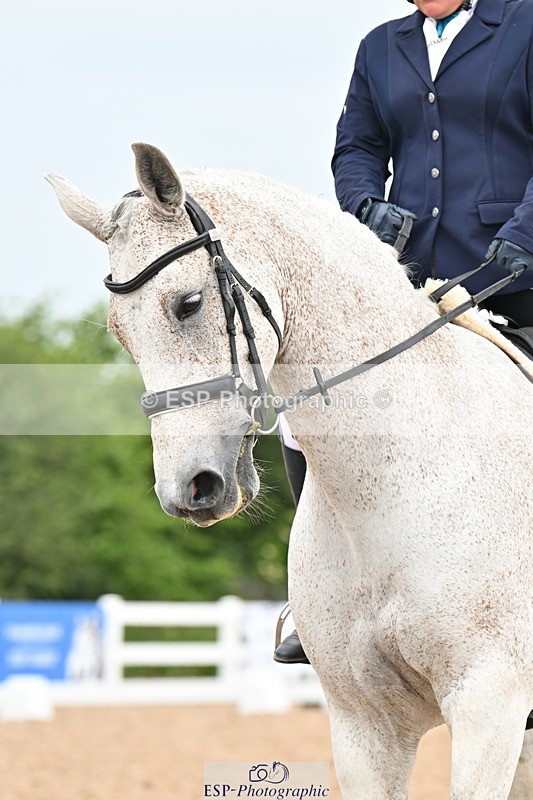 240623A-114217-17554 - Cls 48 BD Novice 37A