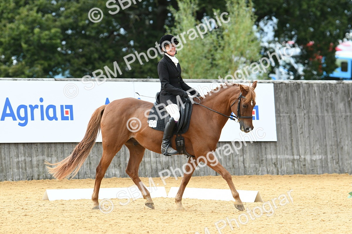 SBM_10957 - D28 Elementary Taster Elementary 42