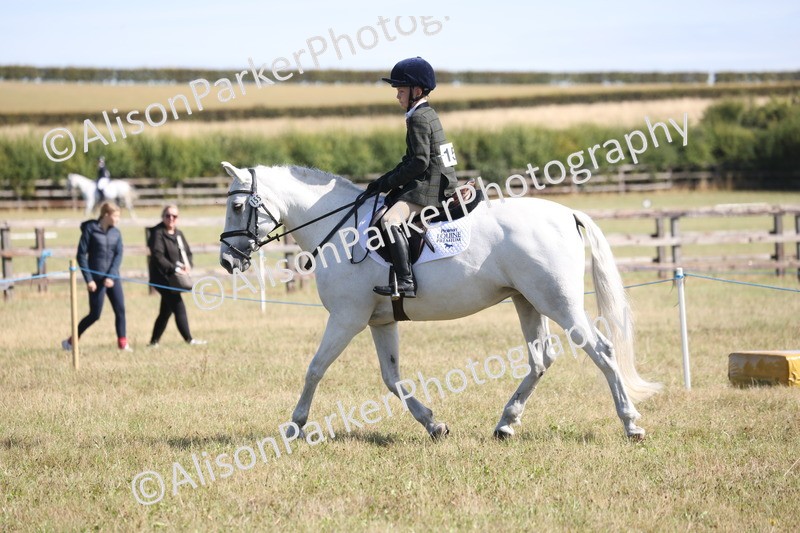 20260906-2188 - Class 16 - Family Pony