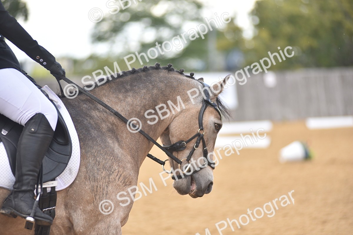 SBM_11341 - D15 - Small Tour Championship Novice 1
