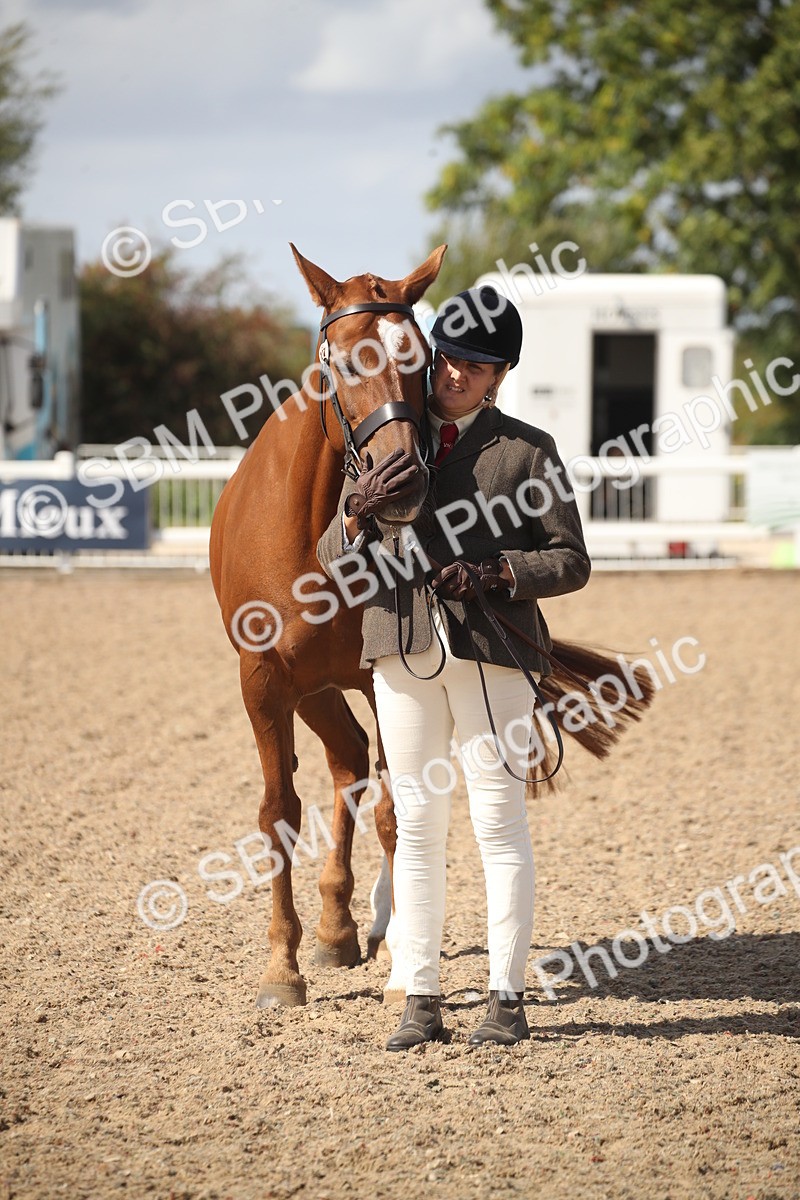 SBM_23149 - Class 606 - 2026 - Area - IH Pre Vet