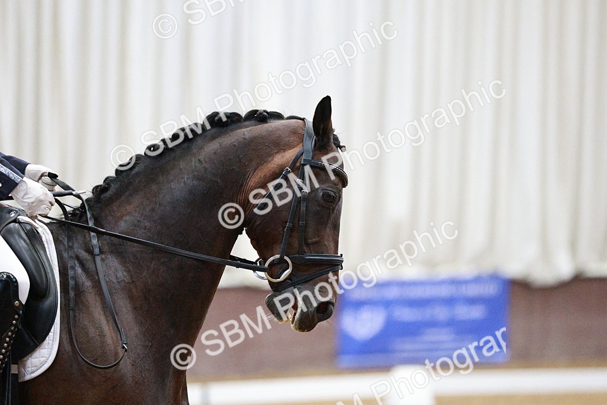 SBM_020585 - Class 13 - FEI INT I - 15.30-16.00