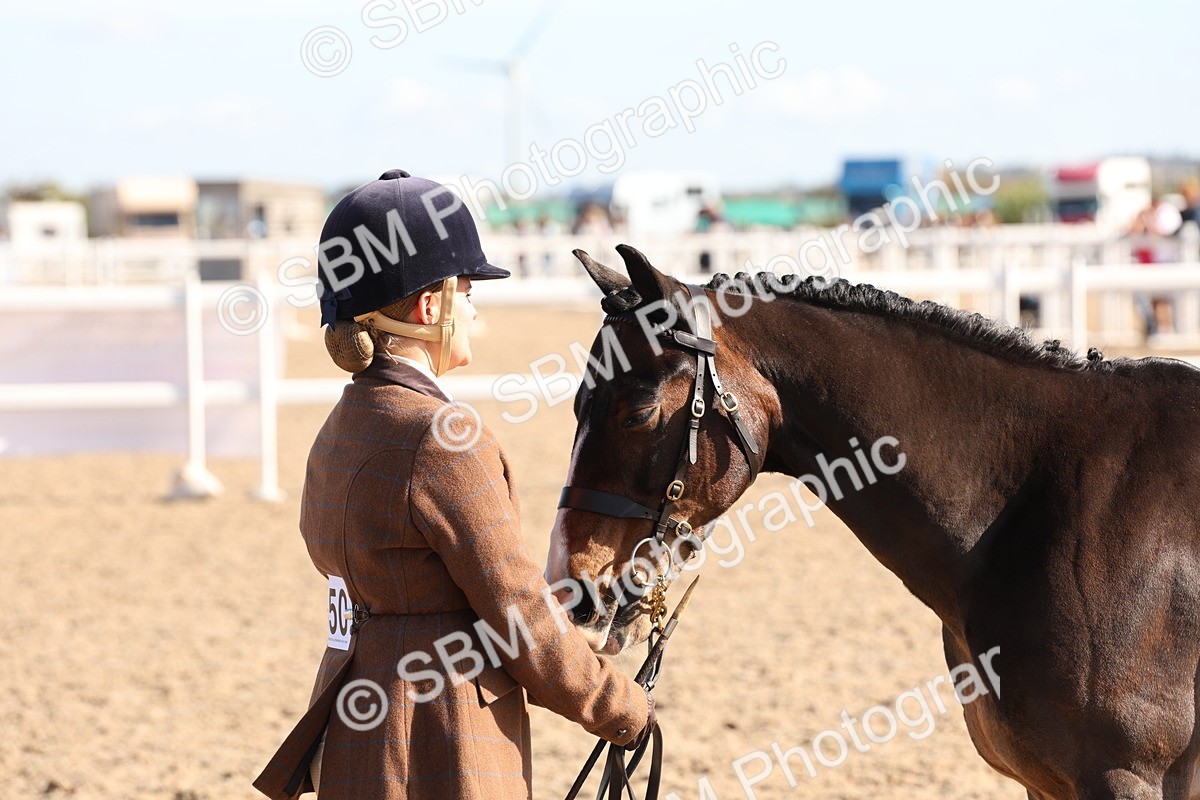 SBM_12839 - Class 205 - IH Show Pony - Show Hunter Pony