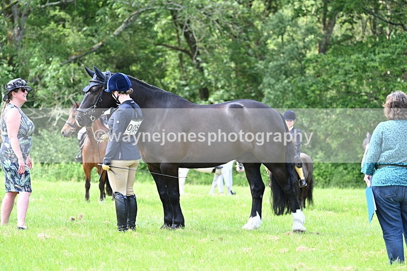 WJ7_1422 - Class 11 Condition & Turnout