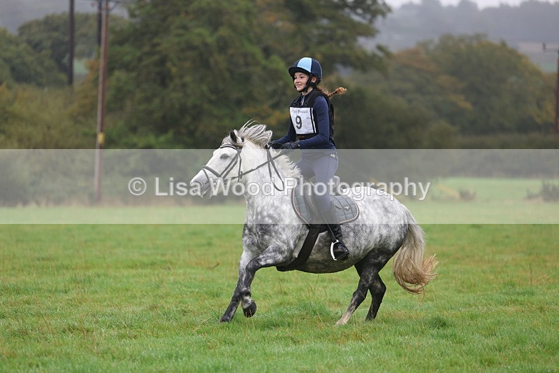 3E7A0779 - Class 1: 65cm: Rails