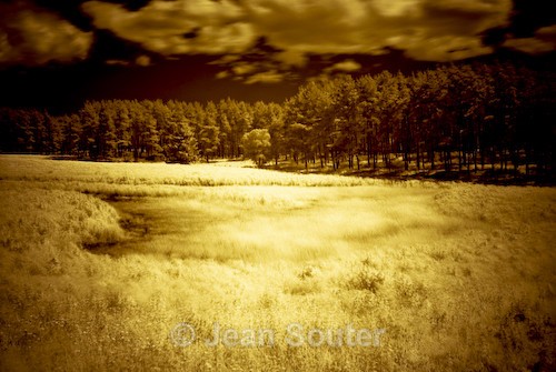 CIR3 - Infra Red