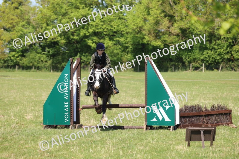 20250427-2589 - Class 20 - Working Hunter Ponies