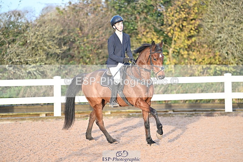 231119A-083415-04133 - Sun Cls 2 British Novice & 80cm Open