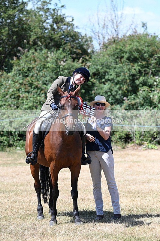 WJ7_3164 - Class 7 Riding Club Show Horse