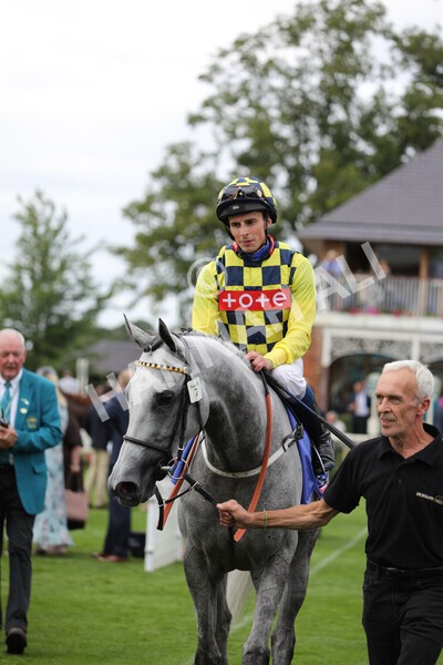 yr17082022r5-53 - Race 5 4.10pm Sky Bet Stayers Stakes