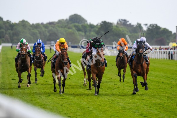 270523-Race 4-River of Stars-0587 - Race 4 3.15pm William Hill Bronte Cup Fillies' Stakes