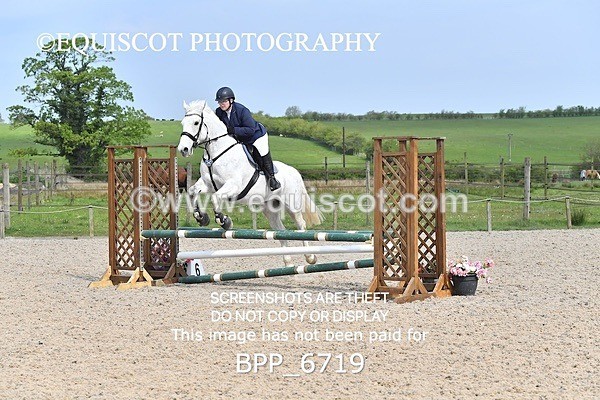 BPP_6719 - CLASS 2 FRI Club/ Unaffiliated 80cms Open