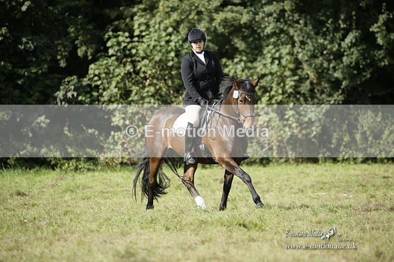 BVRC 120921 286 - Bourne Valley Riding Club UA Dressage & Show Jumping 12/09/21