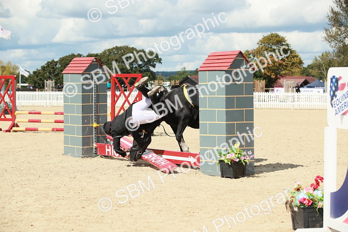 SBM_06222 - J29 Senior 65cm Championship