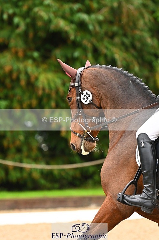 231021-114238-14800 - 238-LEXINGTON.III-Georgina.Wood-DR