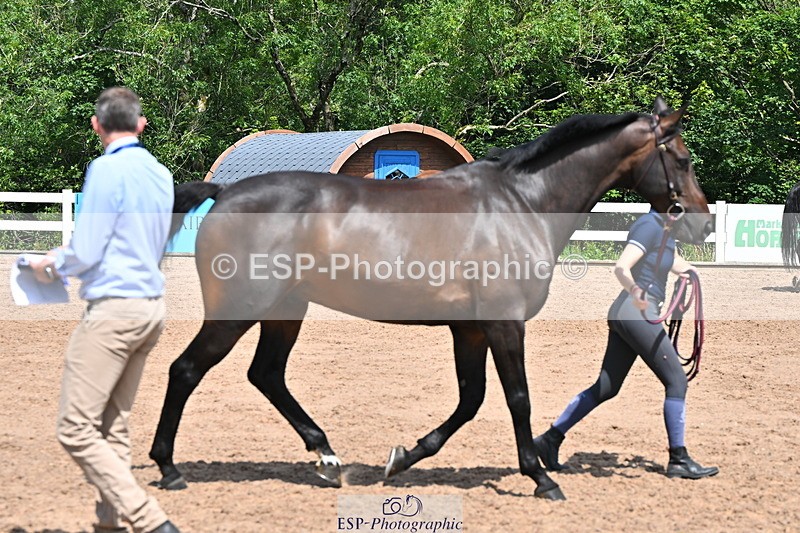 240718A-105257-01374 - Trot Up 12pm to 1pm