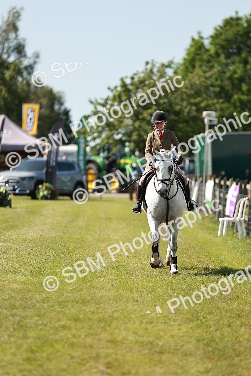 SBM_18566 - Class 112-113 - BSPS LIHS Working Sports Pony