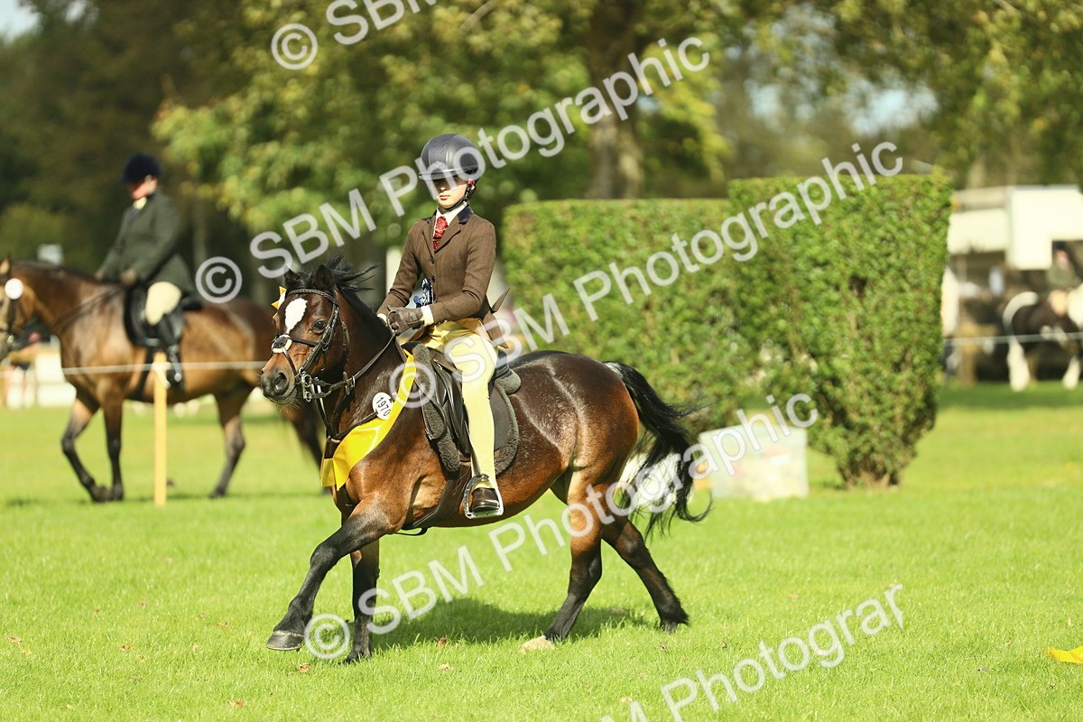 SBM_45040 - Working Hunter Pony Supreme Championship