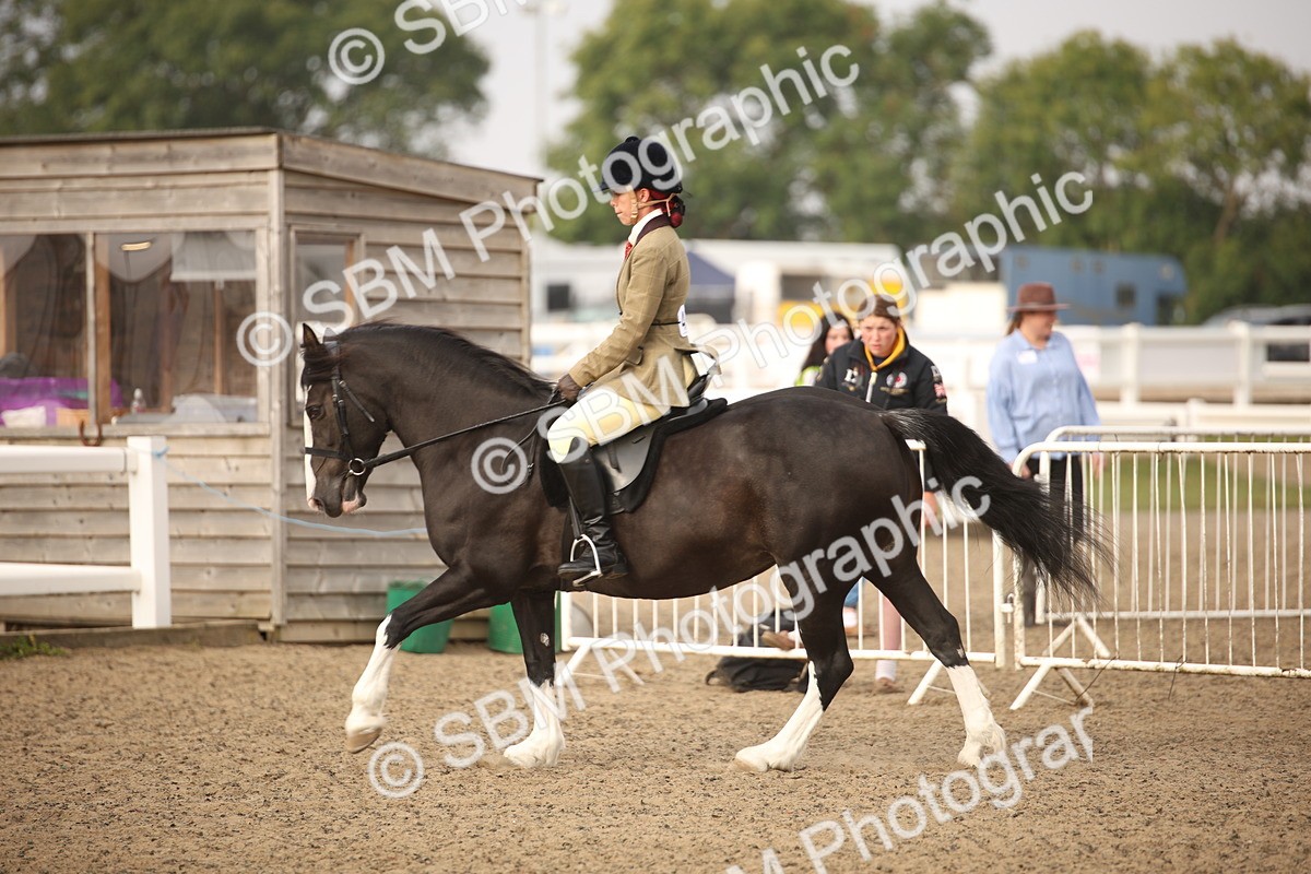 SBM_09759 - Class 401 Riding Club Pony