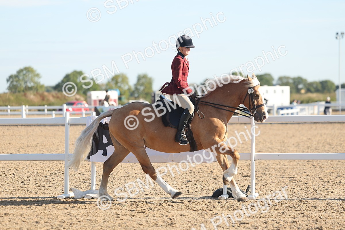 SBM_10992 - Class 302 - Ridden M&M Large Breeds