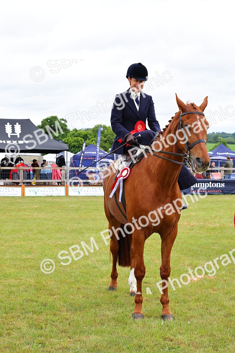 SBM_02779 - Class 9-11 Side Saddle including LIHS Rising Star Ladies Show Horse
