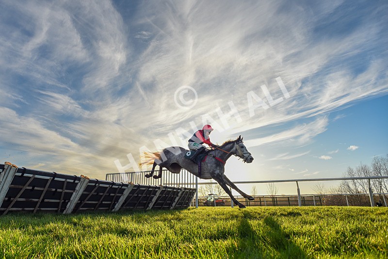 161225-Race 5-Somebodycomegether-7717 - Race 5