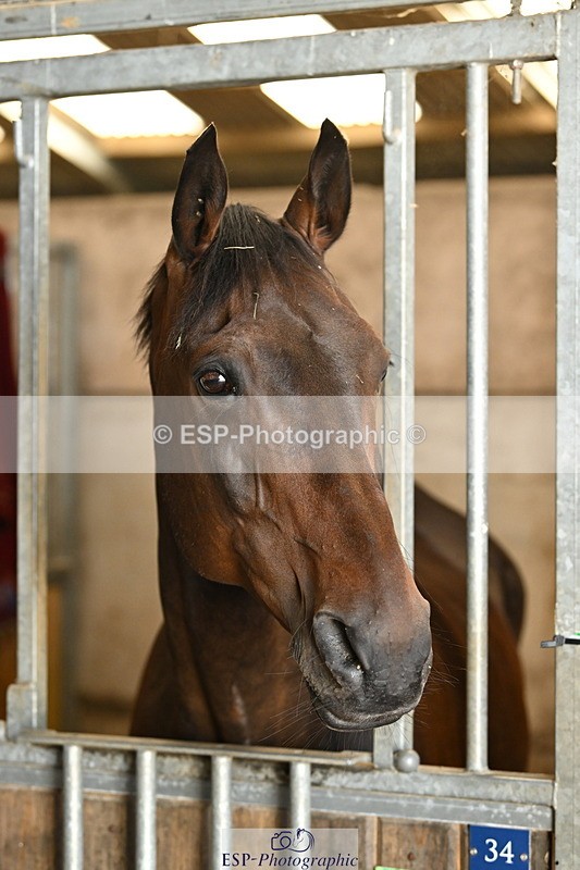 240809A-090930-00062 - Stable Shots