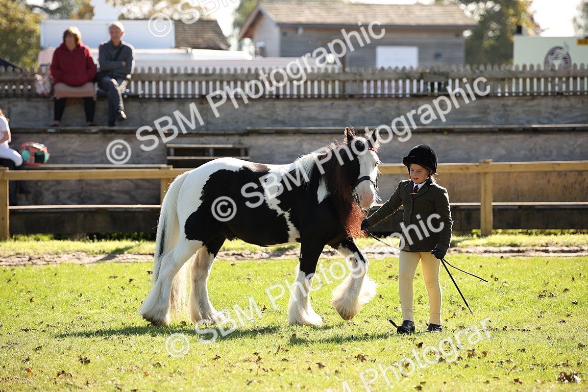 SBM_36602 - S10 - Best In Hand Horse & Pony
