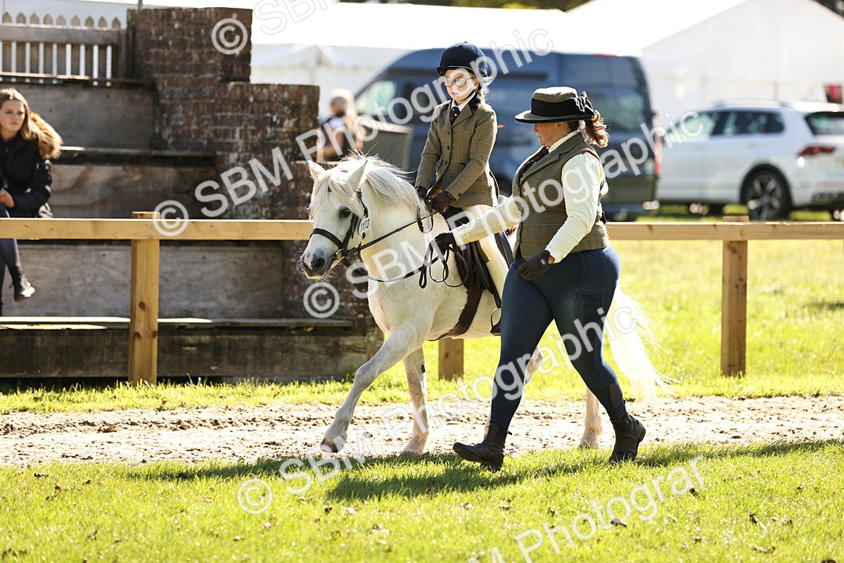 SBM_19308 - S3 - TSR Ridden Pony Showing