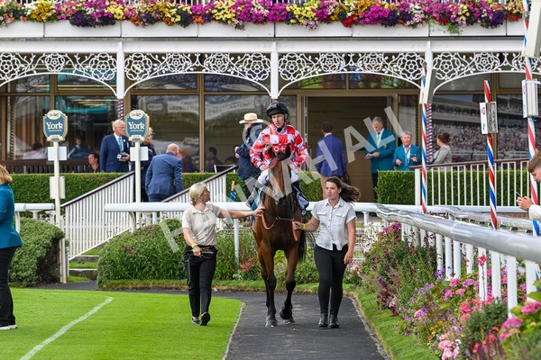 270724-Race 6-Ziggy-7558 - Race 6 5.10pm Sky Bet, For The Fans Handicap