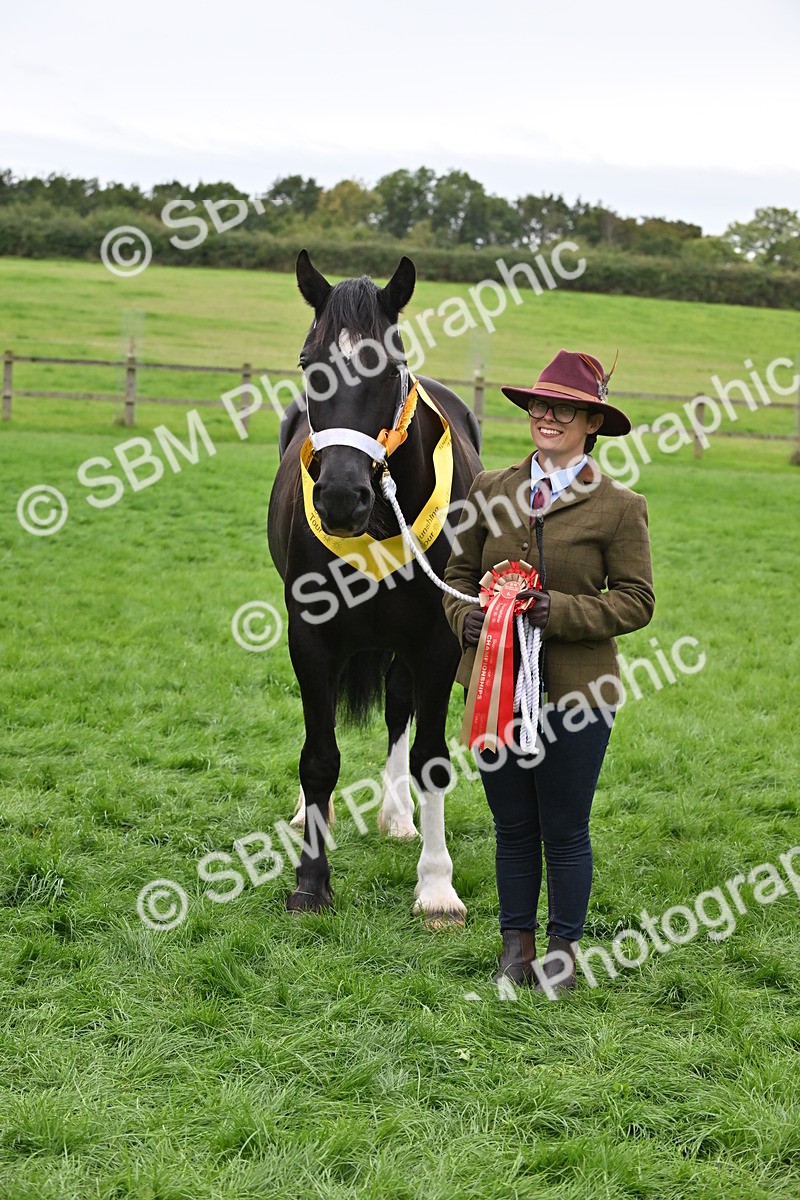 SBM_65035 - In Hand Pony & Younstock Supreme Championship