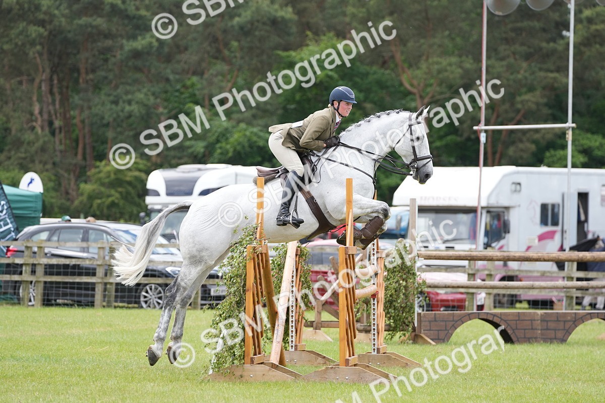 SBM_14978 - Class 100-102 - RIHS Working Hunter