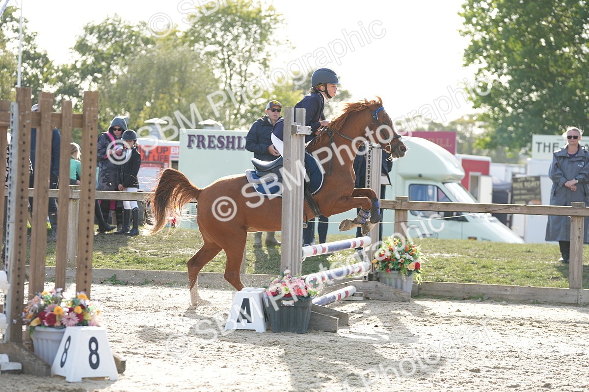 SBM_51155 - J8 - Junior Pony 65cm Championship