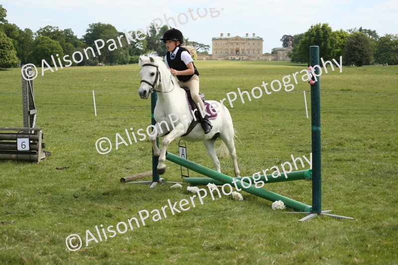 20250517-3043 - Class 25 - Horse & Hound