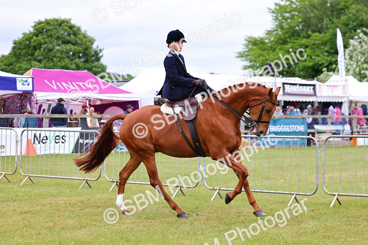 SBM_02941 - Class 9-11 Side Saddle including LIHS Rising Star Ladies Show Horse