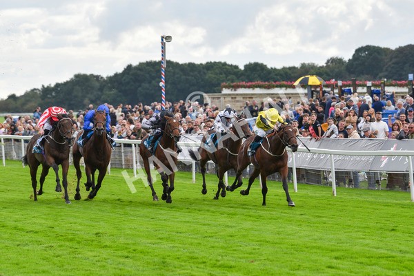 230923-Race 3-Politico-6275 - Race 3 3.10pm Happy 60th Birthday Angela Clark Nursery Handicap